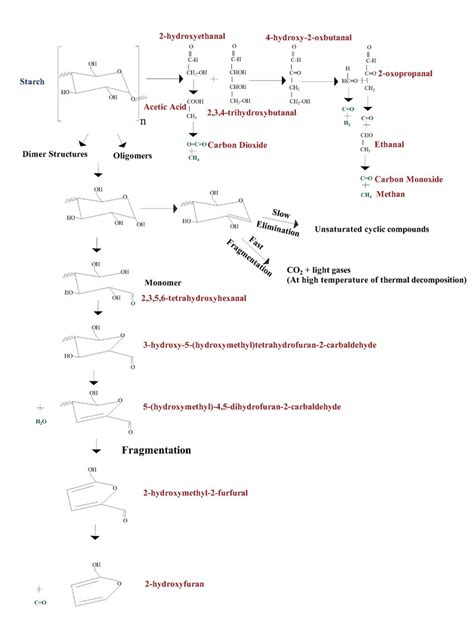 Possible Pathways During Starch Degradation 17 Download Scientific