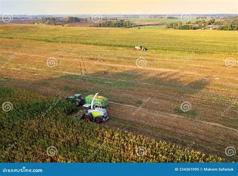 Forage Harvester Claas On Maize Cutting For Silage In Field Self