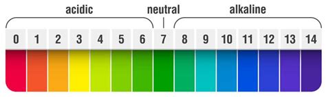 Quicktest Streifen von Steinbach pH und freies Chlor 50 Stück