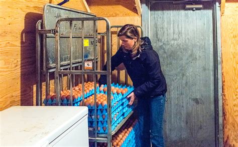 Understanding The Link Between Farmer Mental Health And Farm Success