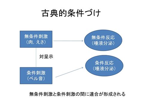 Ppt 第7章 学習の多様性 Powerpoint Presentation Free Download Id 5732958