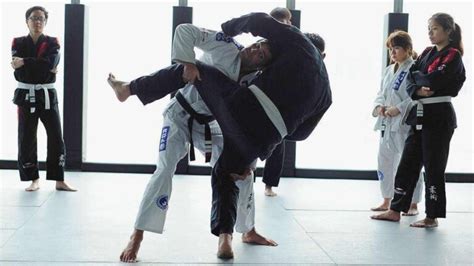 The 3 Best Bjj Takedowns For Beginners Evolve Daily