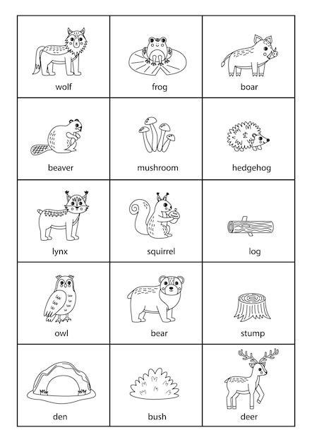 Premium Vector | Set of cartoon black and white woodland animals with names