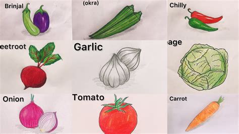 How To Draw Vegetables How To Draw Carrot Tomato How To Draw