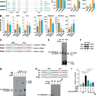 Brd Is Critical For Optimal Nlrc Inflammasome Activation Ac Bmdms