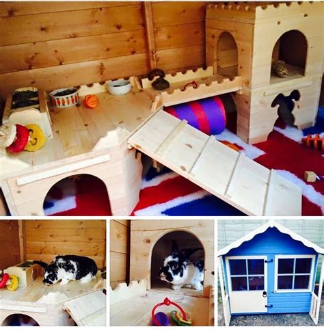 Customer Setup Ideas Rabbit Enrichment Hides Manor Pet Housing