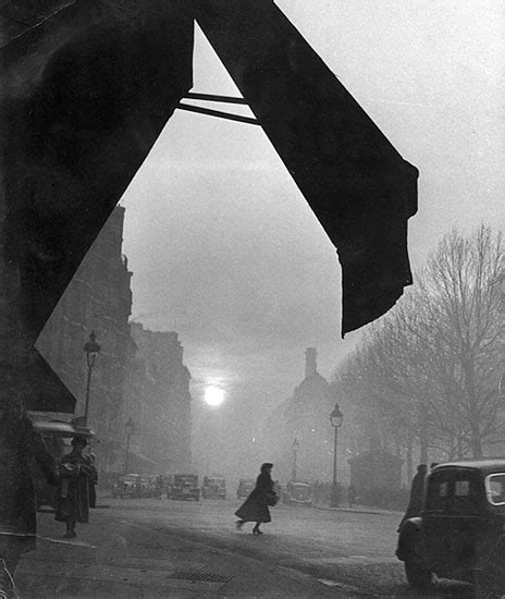 El Efecto Calamaro Arrebatos Foto Con Niebla Al Fondo