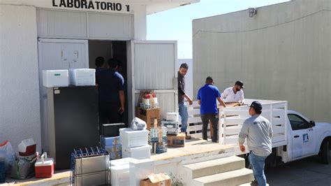 Manos a la obra Laboratorio de planta El Crestón se reubica este