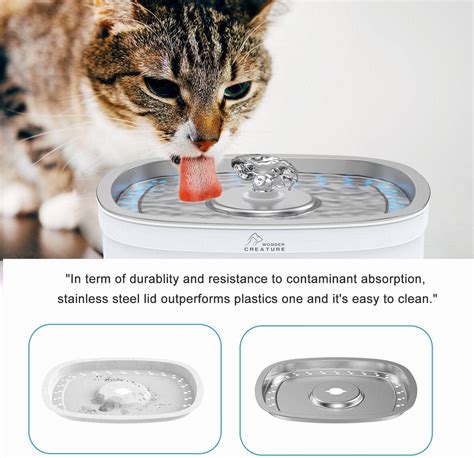 Stainless Steel Cat Water Fountain Oz L With Led Light And Water