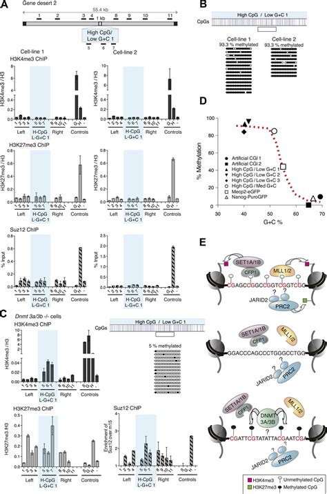 Figures And Data In Synthetic Cpg Islands Reveal Dna Sequence