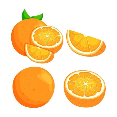 Premium Vector Orange Set Of Fresh Whole Half Cut Slice Orange Fruit