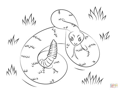 Western Diamondback Rattlesnake Coloring Pages At