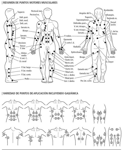 Puntos Motores Est Tica Belleza Y Salud