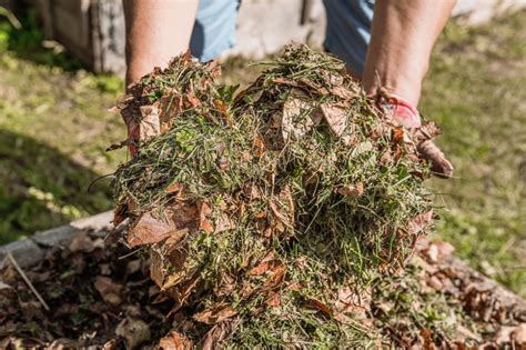 To tani naturalny nawóz Jak samodzielnie zrobić kompost z liści