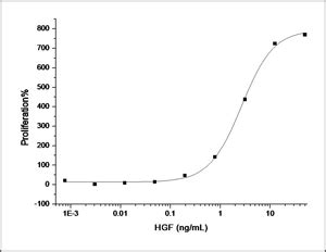 Human HGF Hepatocyte Growth Factor Recombinant Protein