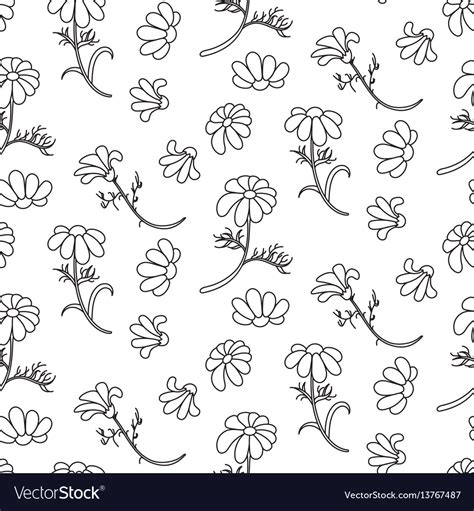 Chamomile outline seamless floral pattern Vector Image