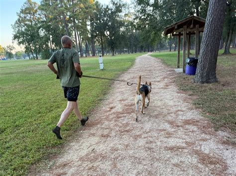 animal hospital humble 3