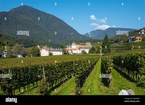 Varna Italy Panoramic View With The Vineyards Of The Abbey Of