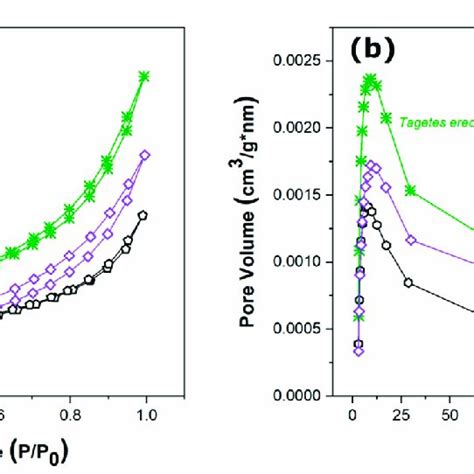 A Nitrogen Adsorption Desorption Bet Isotherms And B Bjh Plots Of Download Scientific