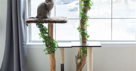 Diy Cat Trees Hometalk