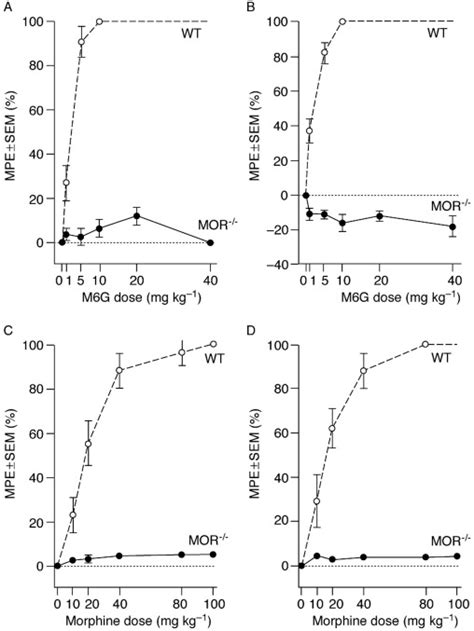 Comparison Of Morphine 6 Glucuronide And Morphine On Respiratory