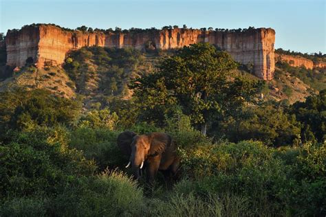 √ National Parks Zimbabwe