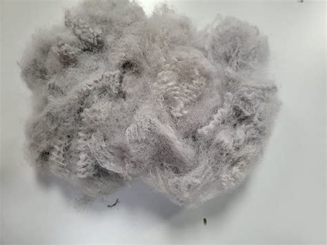 Recycled Polyester Staple Fiber At Rs Kg In