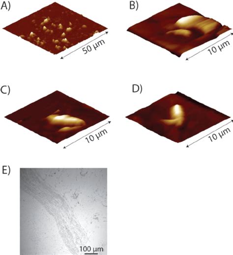 Afm Images Of The Di Ff Erent Stages Of Surface And Tip Manipulations