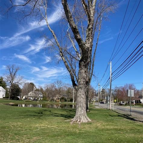 Nicholas Noyes Sr Homestead Site Of Salem Witch Museum