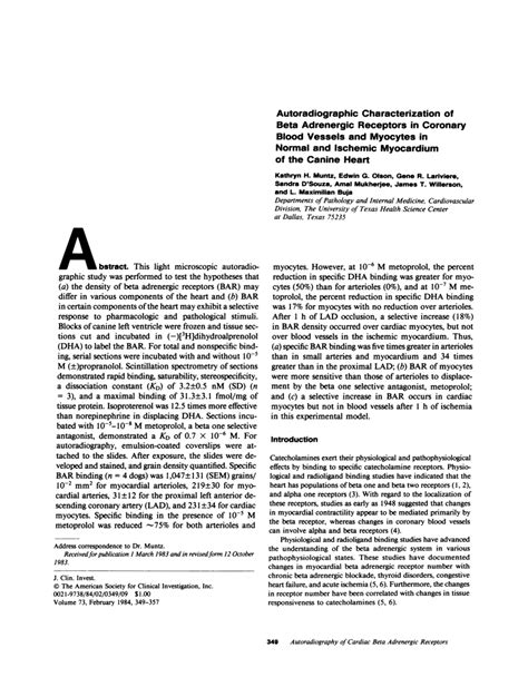 Pdf Autoradiographic Characterization Of Beta Adrenergic Receptors In