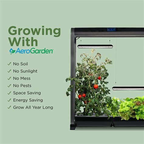 The Best Smart Garden for Your Home