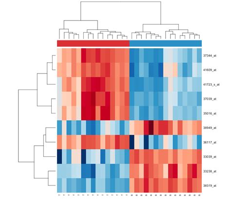 Notes On Creating Beautiful Heatmaps In R Anchengs Playground