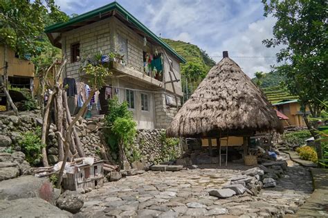 503 Photos Of Rice Terraces Asian Flippednormals