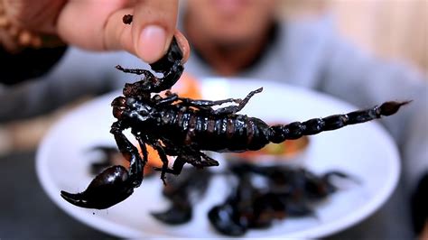 Asmr Deep Fried Scorpions Exotic Food Eating Sounds Binh Asmr Youtube