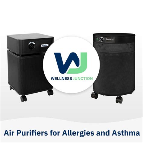 Air Purifiers For Allergies And Asthma Wellness Junction