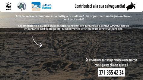 Estate 2023 Tutela Aree Dunali Fratini E Tartarughe Marine