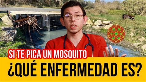 Diferencia Entre ZIKA DENGUE Y CHICUNGUNYA DrPoloGuerrero YouTube