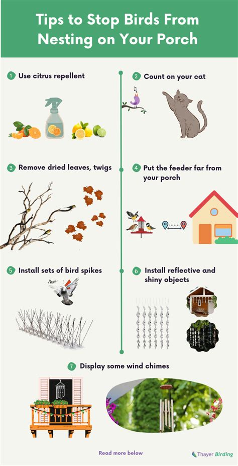 How To Keep Birds From Nesting On Porch 7 Effective Tips