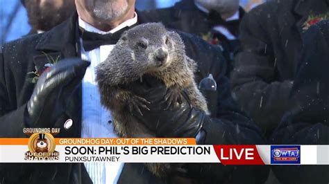 Punxsutawney Phil Predicts Early Spring Youtube