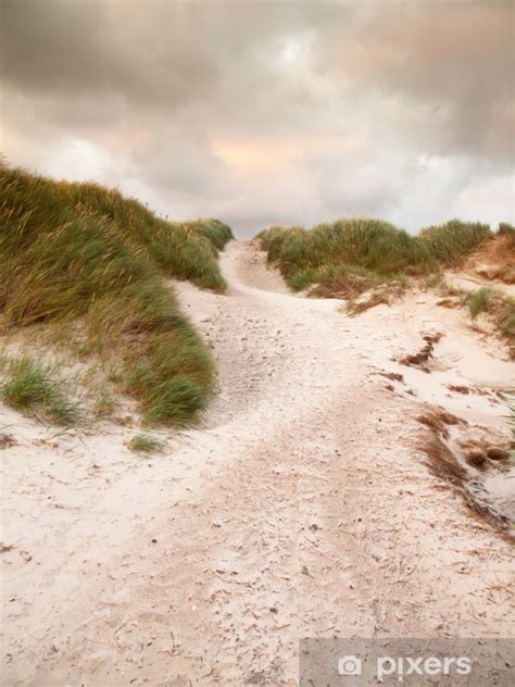 Rideau Occultant Chemin De Sable Travers Un Paysage De Dunes Sous Un