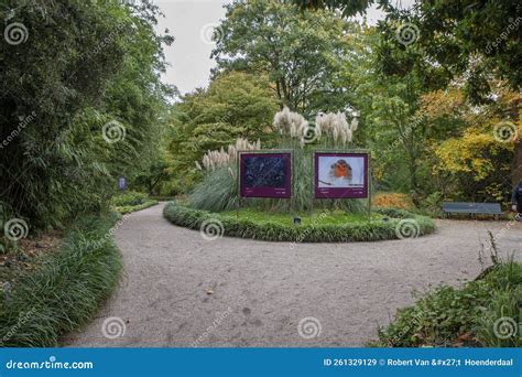 Walking Path At The Hortus Botanicus At Amsterdam The Netherlands 28 10