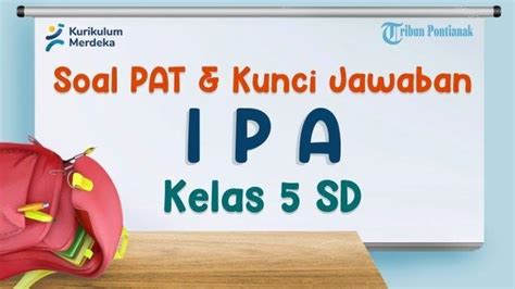 70 Soal Ujian Ipa Kelas 5 Sd Lengkap Kunci Jawaban Soal Usbn Uas Ipa