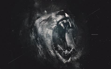 Wallpapers Black Lion - Wallpaper Cave