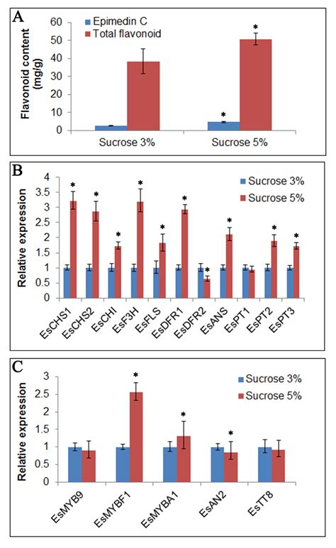 Functional Characterization Of A Novel R2r3 Myb Transcription Factor