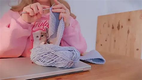 Wetslavs S Porn Videos And Reels Nude Photos And Bio On XHamster