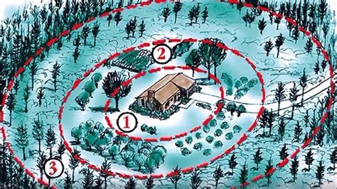 How To Build A Wildfire Defensible Space Around Your Home Abc