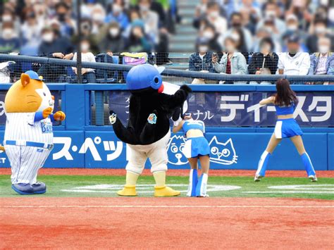 浮浪十写真 On Twitter 横浜denaベイスターズ ベイスターズ Baystars 横浜スタジアム ハマスタ 東京