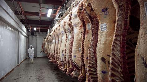 Productores Autoconvocados Reclamaron Liberar Las Ventas Al Exterior De Carne Vacuna Y Denunció