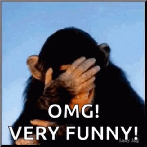 Scared Monkey Gif