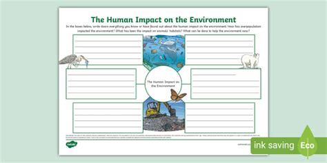 Human Impact Worksheets